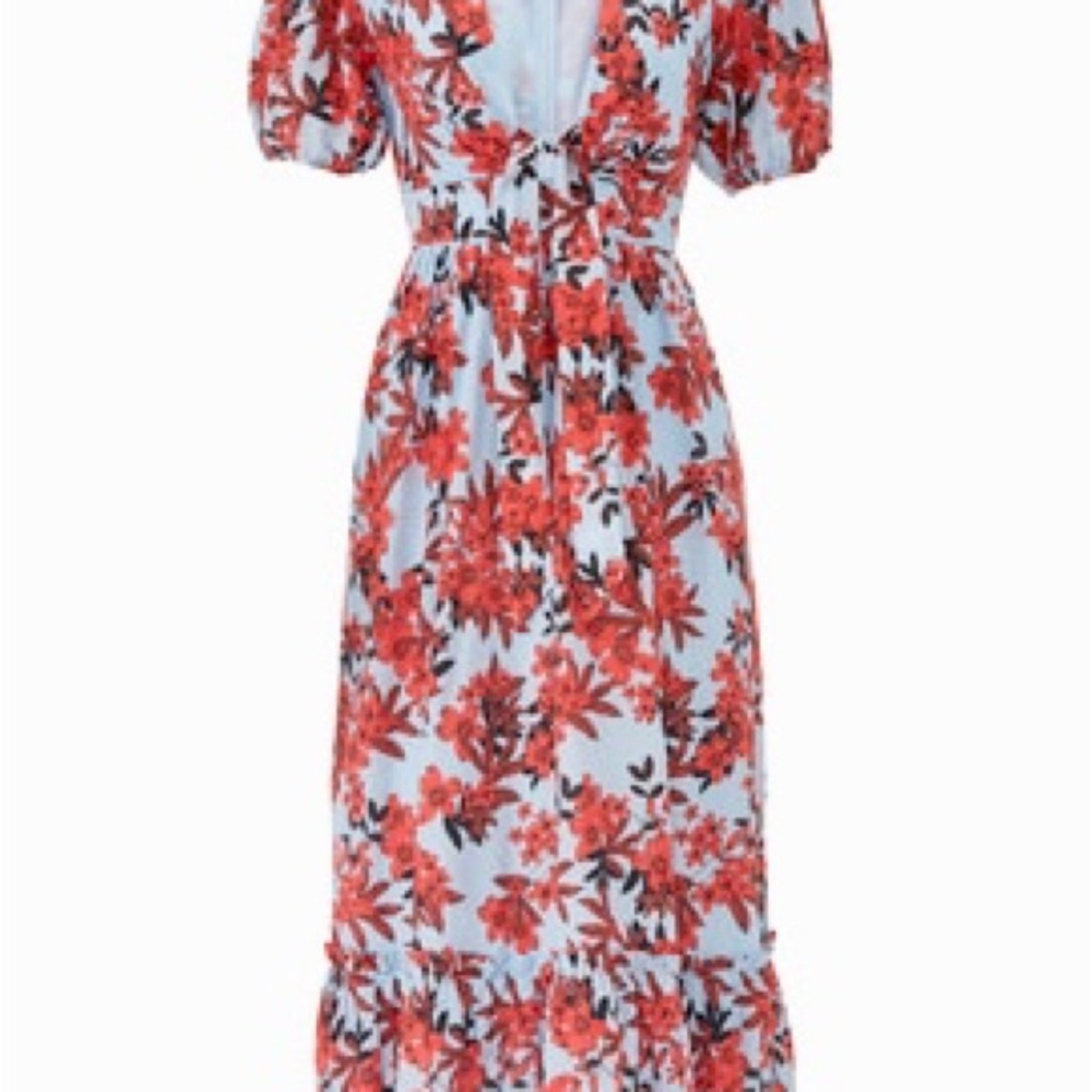 Floral Blue and Red Women's Dress